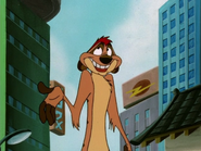 SSM Timon