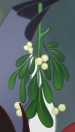 Mistletoe