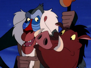 SD Pumbaa & Rafiki