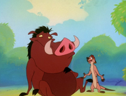 SYD Timon & Pumbaa8