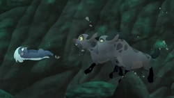 Cheezi and Chungu swim to safety.