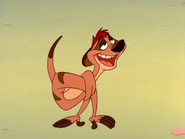 TYHITR Timon16