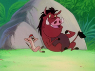 YMHAWSMB Timon & Pumbaa2