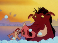 BN Timon & Pumbaa4