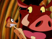 KBMF Timon & Pumbaa4