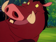 TTT Pumbaa18