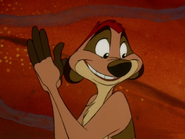 BOITO Timon12