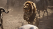 Lionking2019-animationscreencaps.com-4917