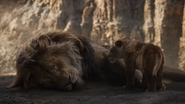 Lionking2019-animationscreencaps.com-5283