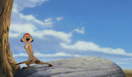 Lionking3-disneyscreencaps.com-1043