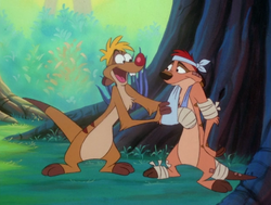 TZ Timon & Fred13