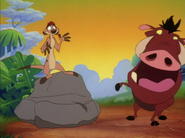 YYY Timon & Pumbaa2