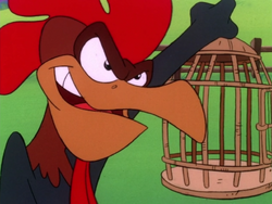 Rooster punishes Timon for cheating.