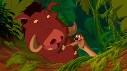 Timon and Pumbaa lament Simba's growing relationship with Nala.