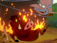 MM Timon Pumbaa & castaway27