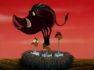 BITJ Timon Pumbaa & bird2