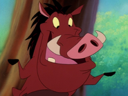 HTBTHCR Pumbaa12