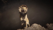 Lionking2019-animationscreencaps.com-11536