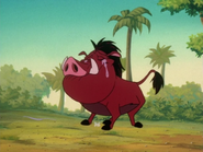 BGD Pumbaa23