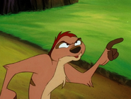 YR Timon12