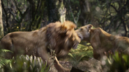 Lionking2019-animationscreencaps.com-9108