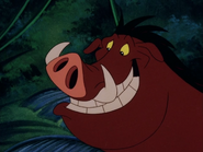 TLST Pumbaa6