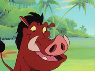 UBAE Pumbaa14