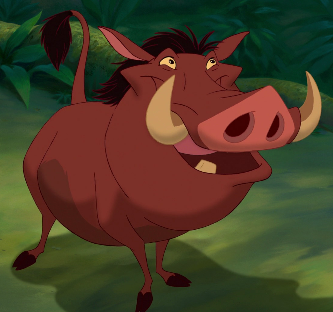 lion king characters timon and pumbaa