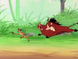 LBAM Timon & Pumbaa34