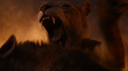 Lionking2019-animationscreencaps.com-11950