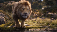 Lionking2019-animationscreencaps.com-9472