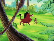 DCC Timon & Pumbaa31