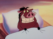 HTBTHCR Pumbaa4