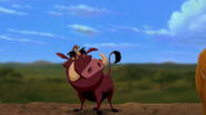 Lion-king2-disneyscreencaps-326