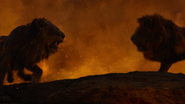 Lionking2019-animationscreencaps.com-12216