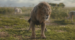 Mufasa-animationscreencaps.com-5370