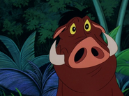 TLST Pumbaa7