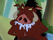 TTAKAH Pumbaa16