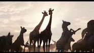 An official TV spot for The Lion King