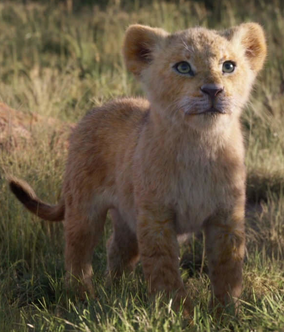 Nala (reboot) | The Lion King Wiki | Fandom