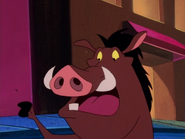 BB&G Pumbaa26