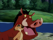 Hoodwinked Timon & Pumbaa9