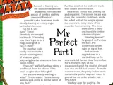 Mr. Perfect