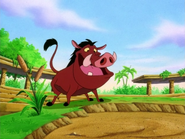 BJG Pumbaa42