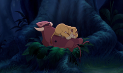 Simba sleeps with Timon and Pumbaa.