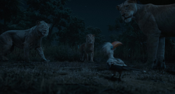 Mufasa-animationscreencaps.com-6482