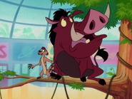 Shopping Timon & Pumbaa7