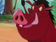 TA Pumbaa8