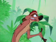 TA Timon23