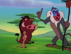 TSIC Rafiki Timon & Pumbaa12